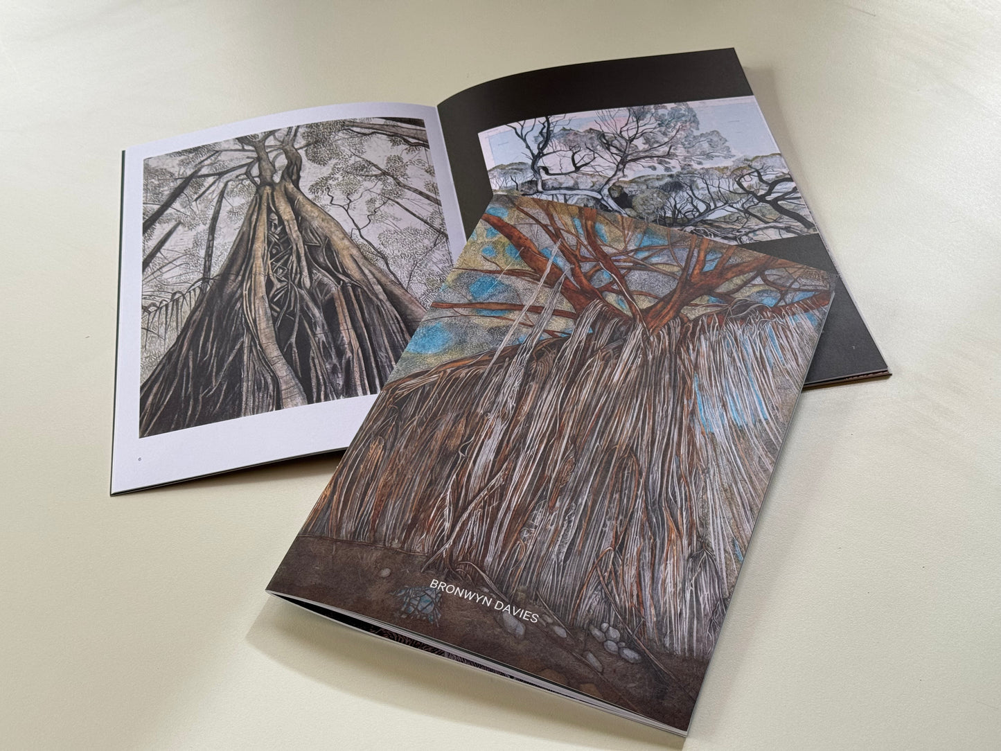 If Trees Could Talk- book