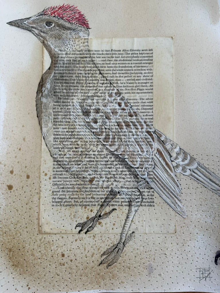 Illustration of a great bower bird with a red crest on a stitched textured paper background