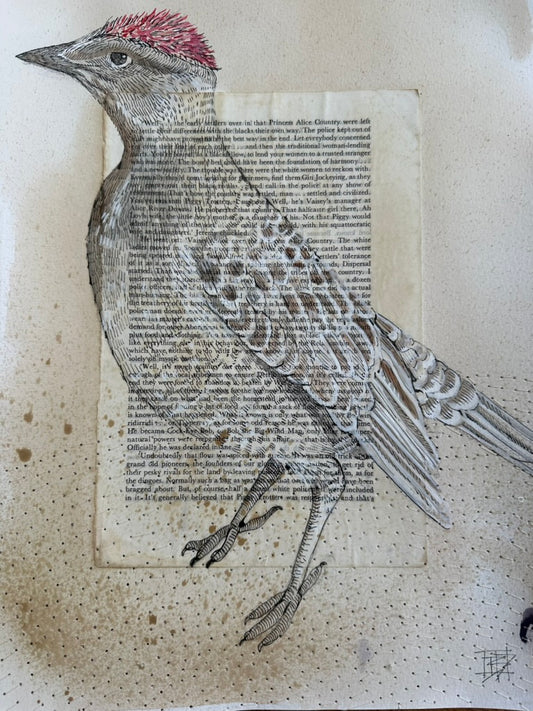 Illustration of a great bower bird with a red crest on a stitched textured paper background