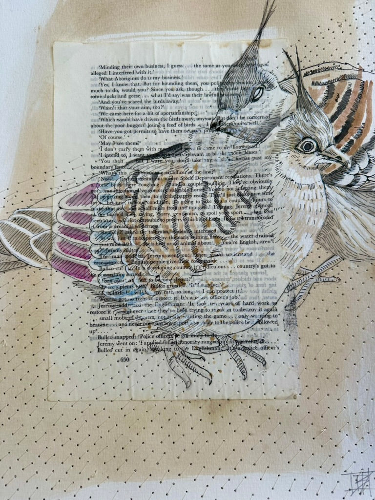 Artistic depiction of crested pigeon birds on a textured surface with text overlay