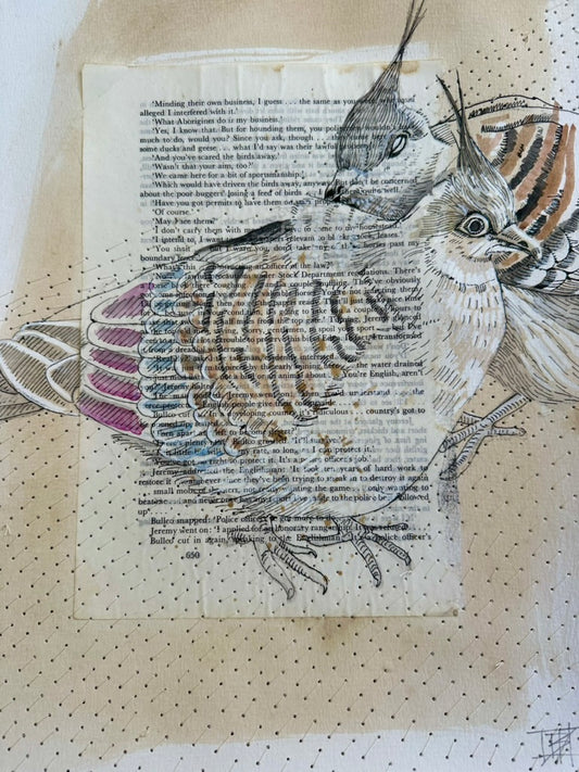 Artistic depiction of crested pigeon birds on a textured surface with text overlay