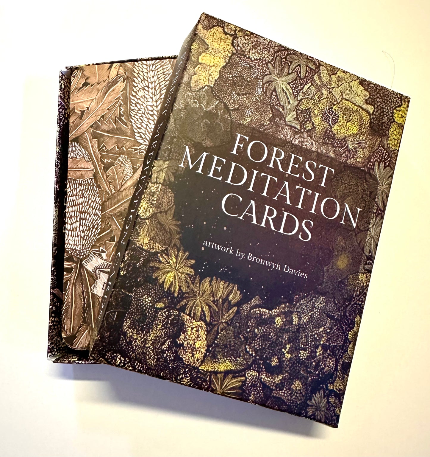 FOREST MEDITATION CARDS