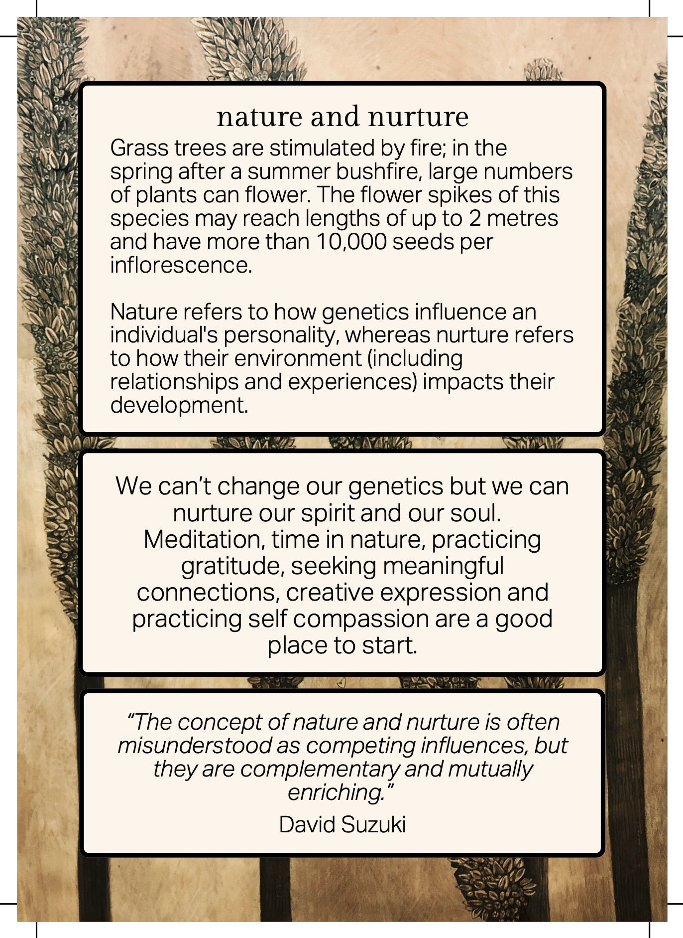 FOREST MEDITATION CARDS