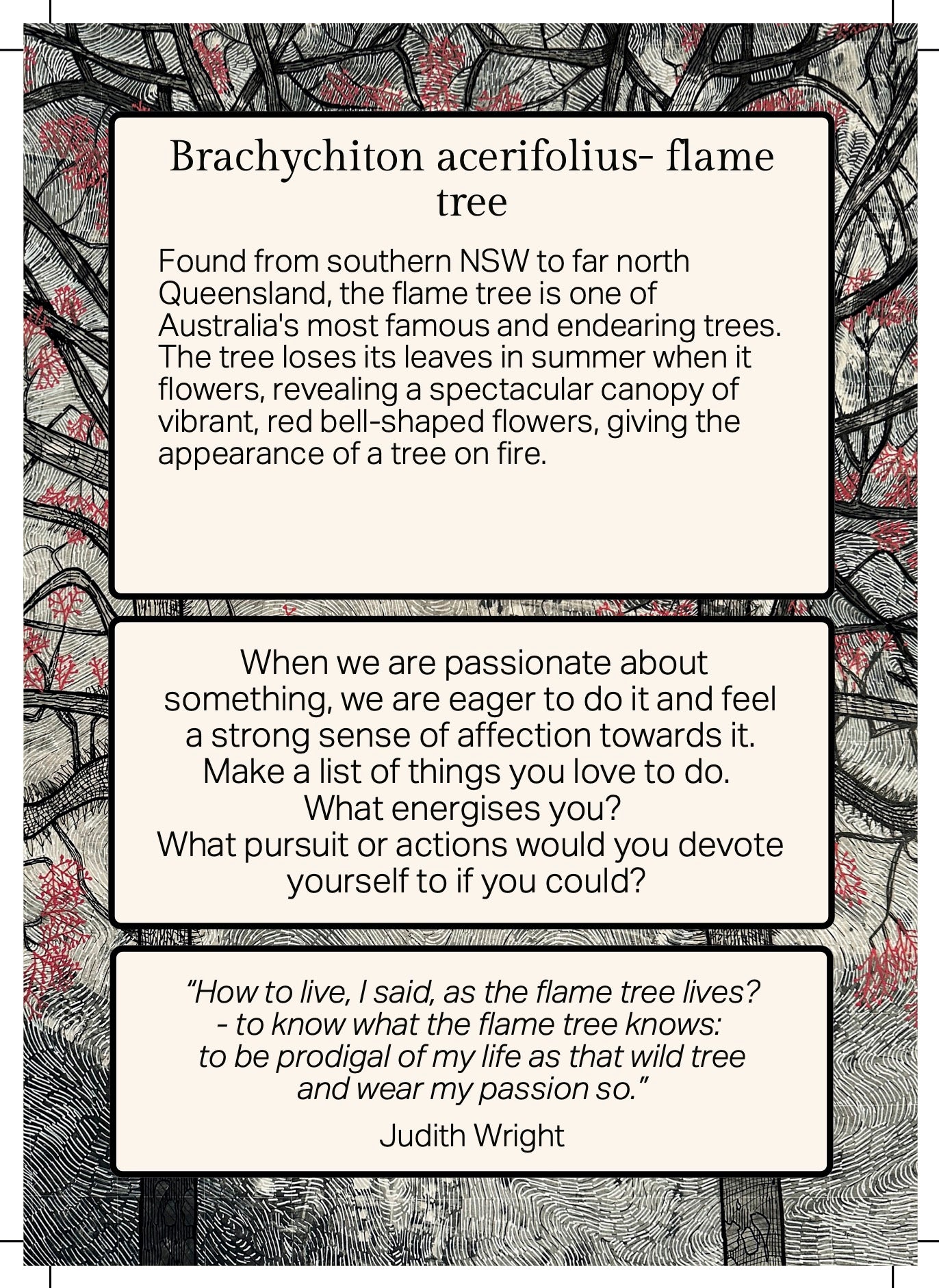 FOREST MEDITATION CARDS