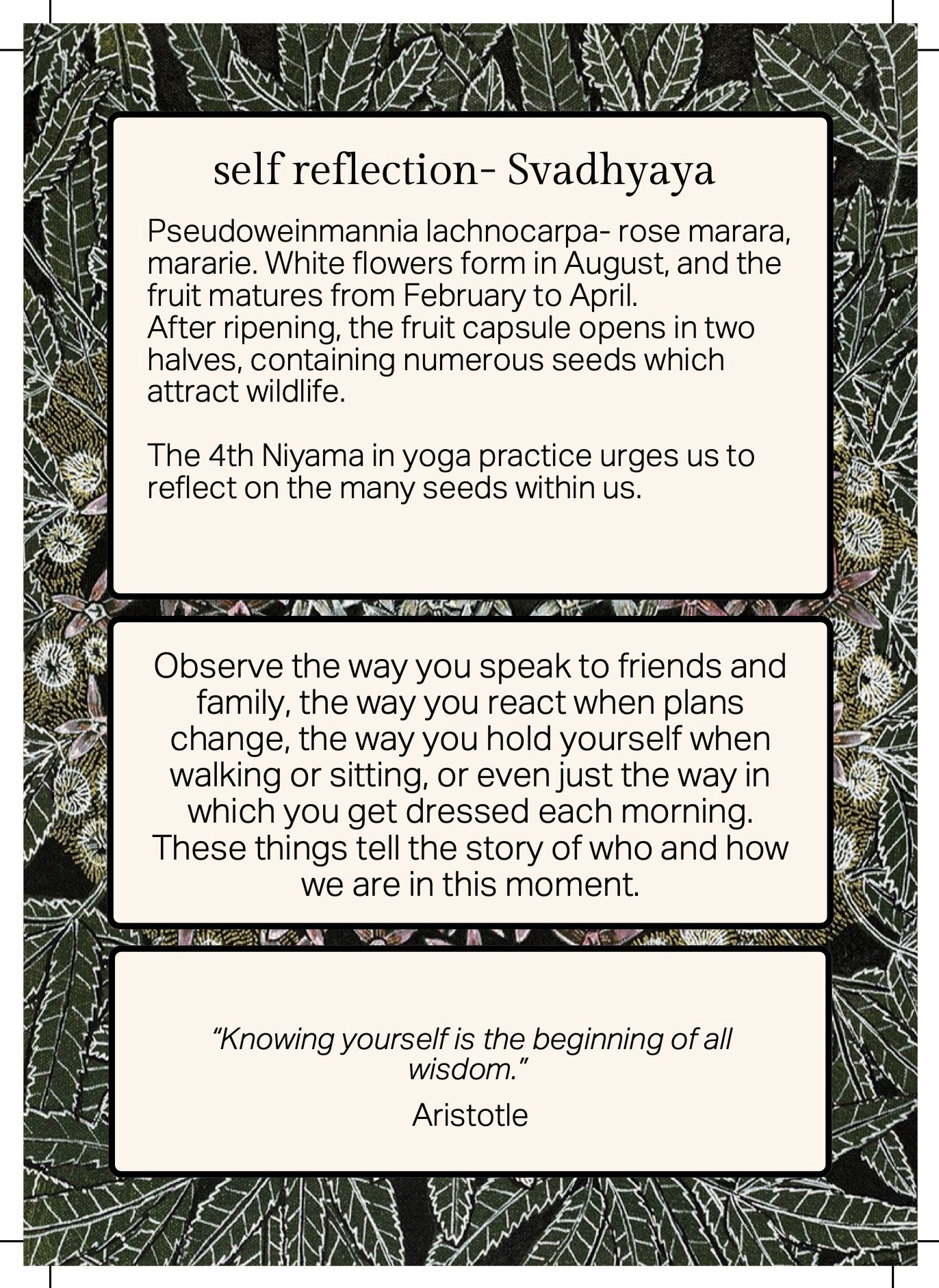 FOREST MEDITATION CARDS